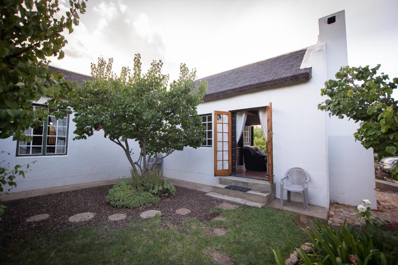 Orchard Cottage マグレゴー エクステリア 写真