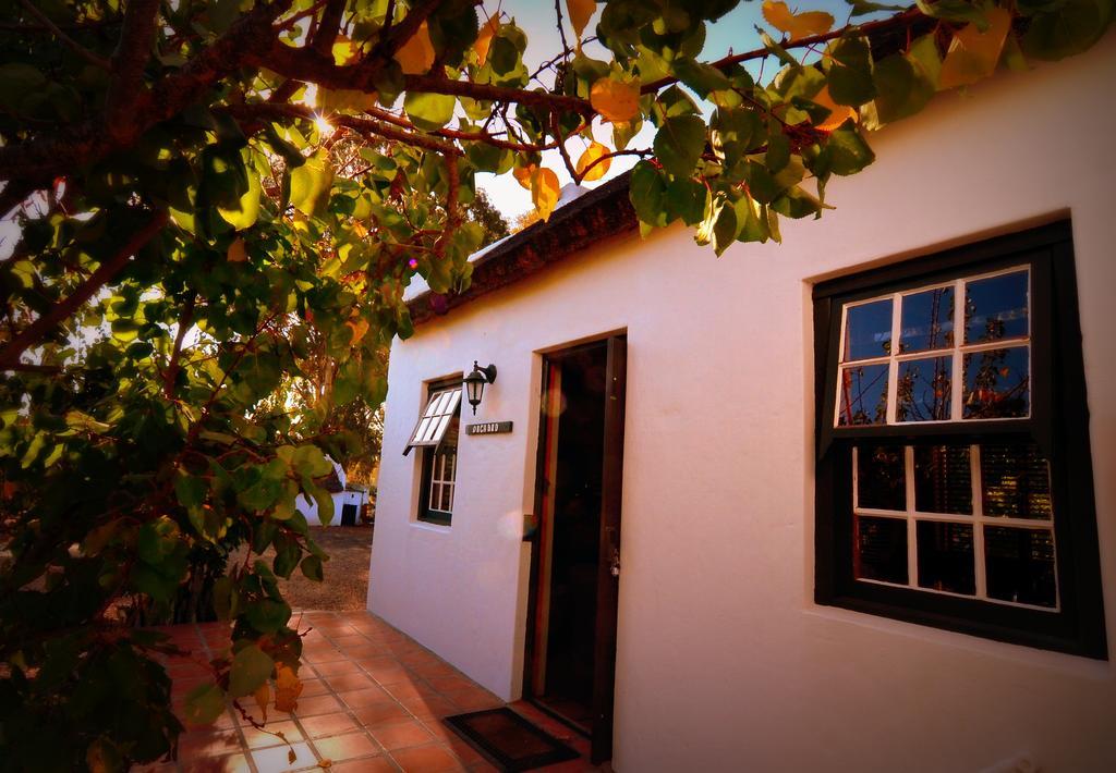 Orchard Cottage マグレゴー エクステリア 写真