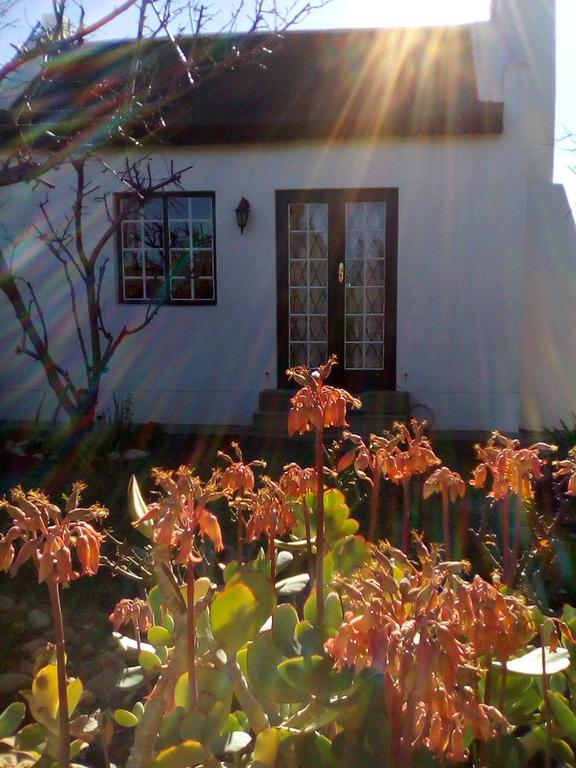 Orchard Cottage マグレゴー エクステリア 写真